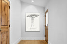 Pixalot ® Baobab Illustration