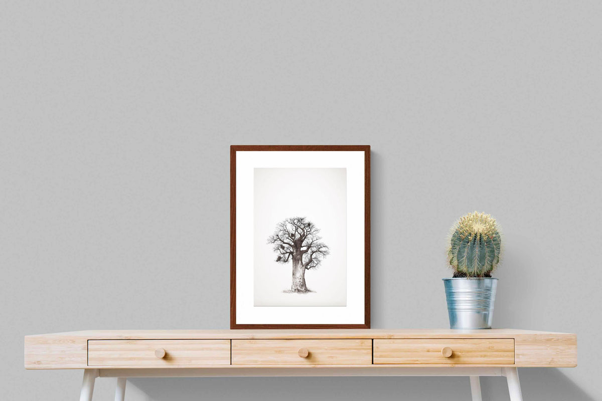 Pixalot ® Baobab Legacy #5