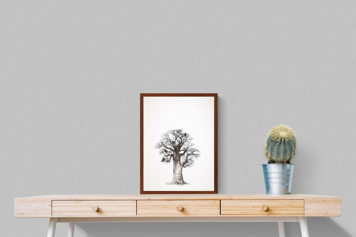 Pixalot ® Baobab Legacy #5