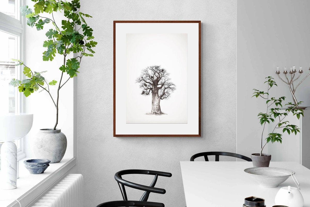 Pixalot ® Baobab Legacy #5