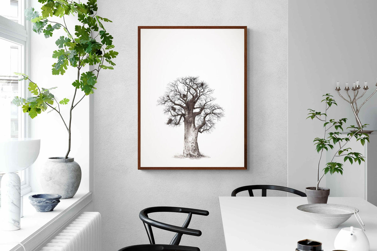 Pixalot ® Baobab Legacy #5