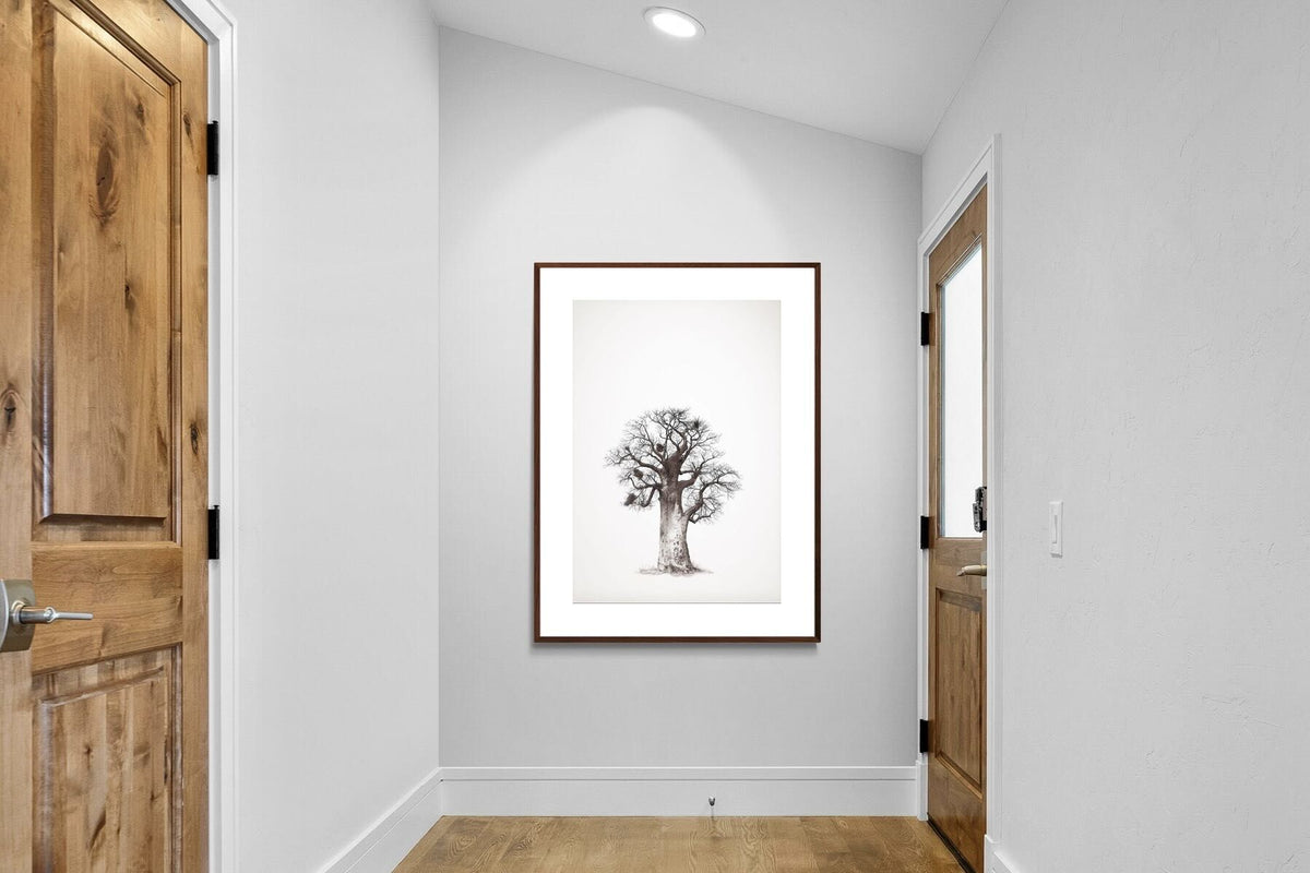Pixalot ® Baobab Legacy #5