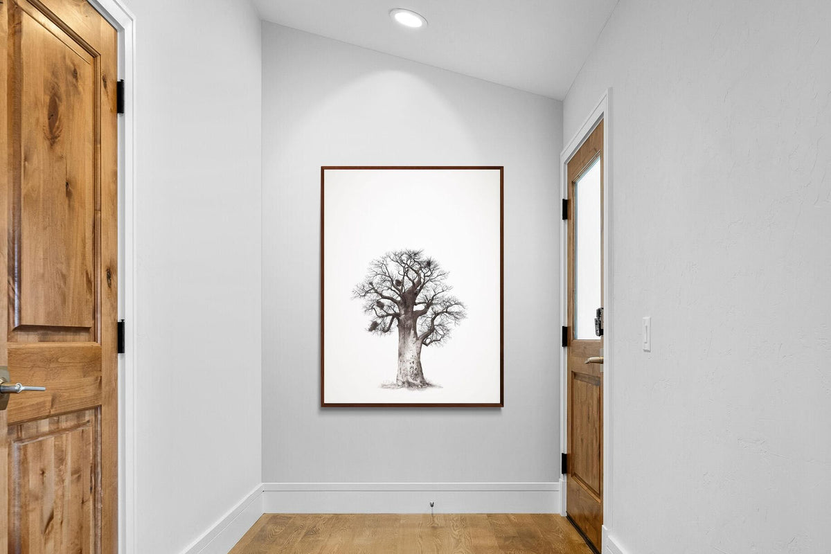 Pixalot ® Baobab Legacy #5