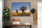 Pixalot ® Baobab