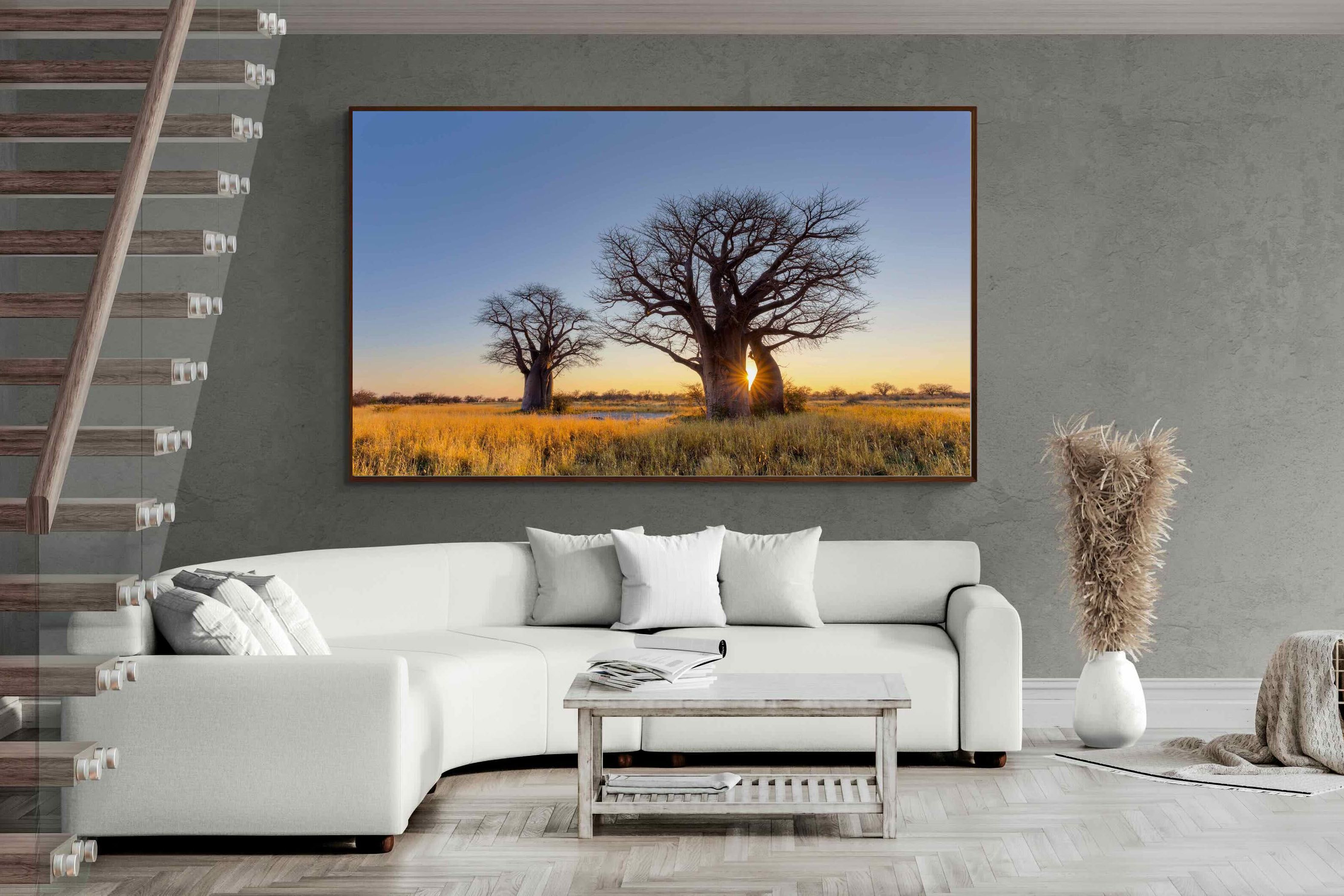 Pixalot ® Baobab