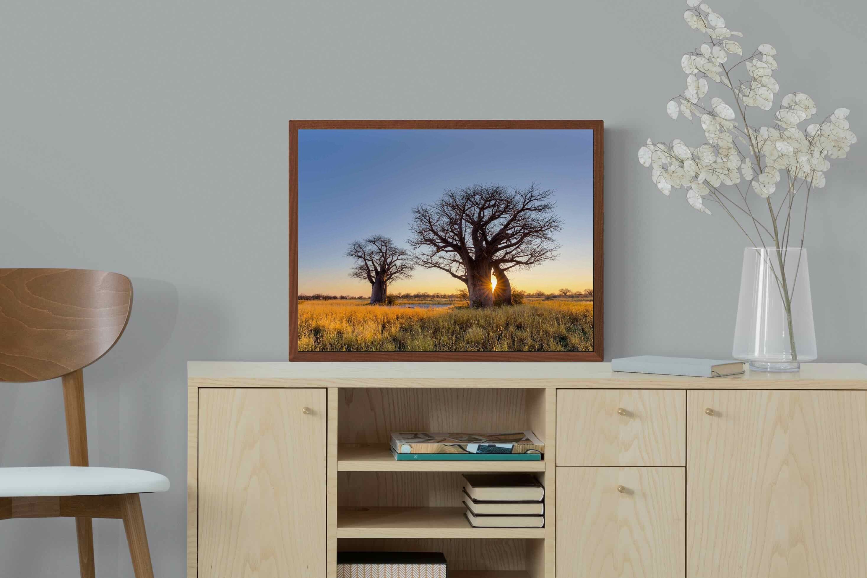 Pixalot ® Baobab
