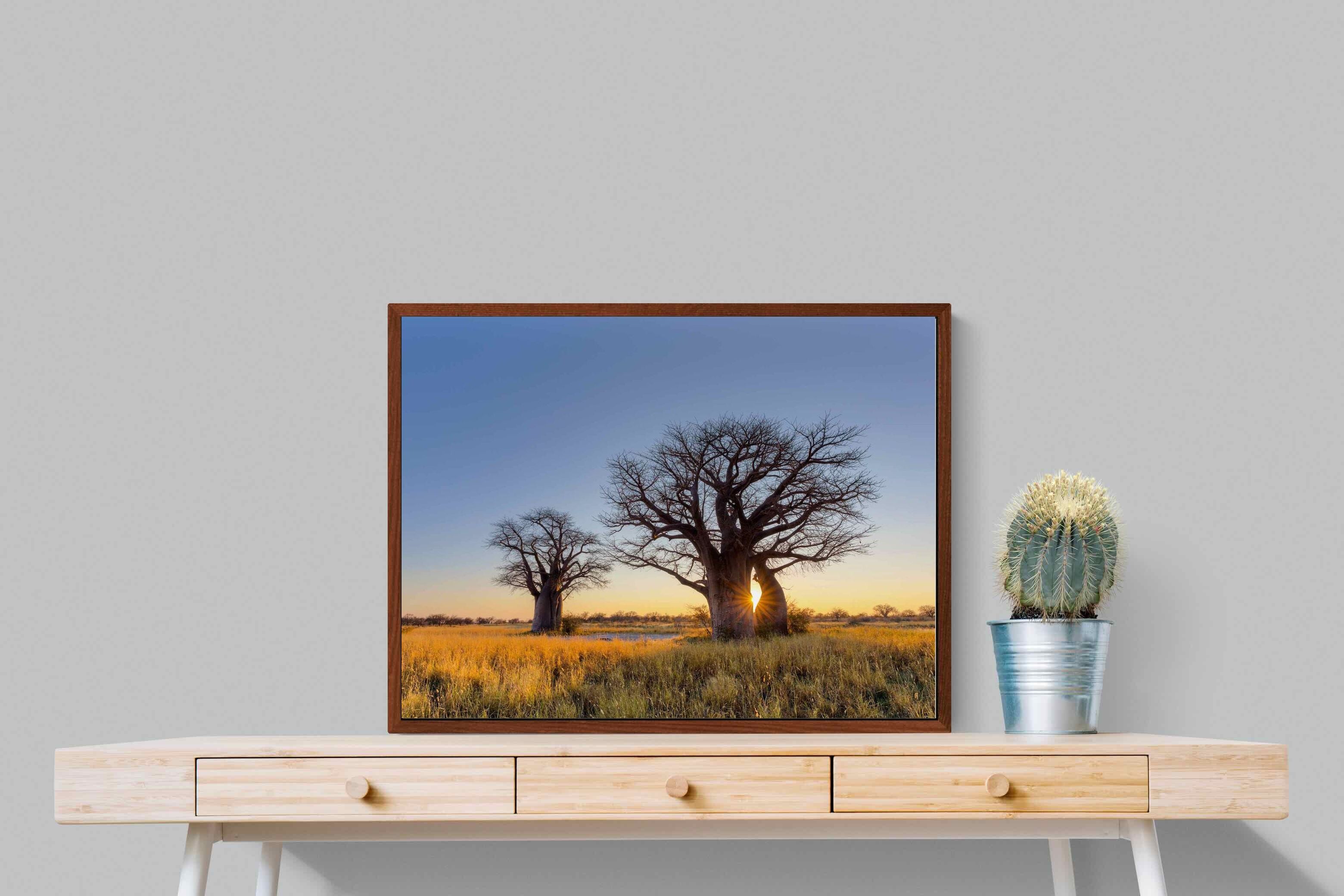 Pixalot ® Baobab