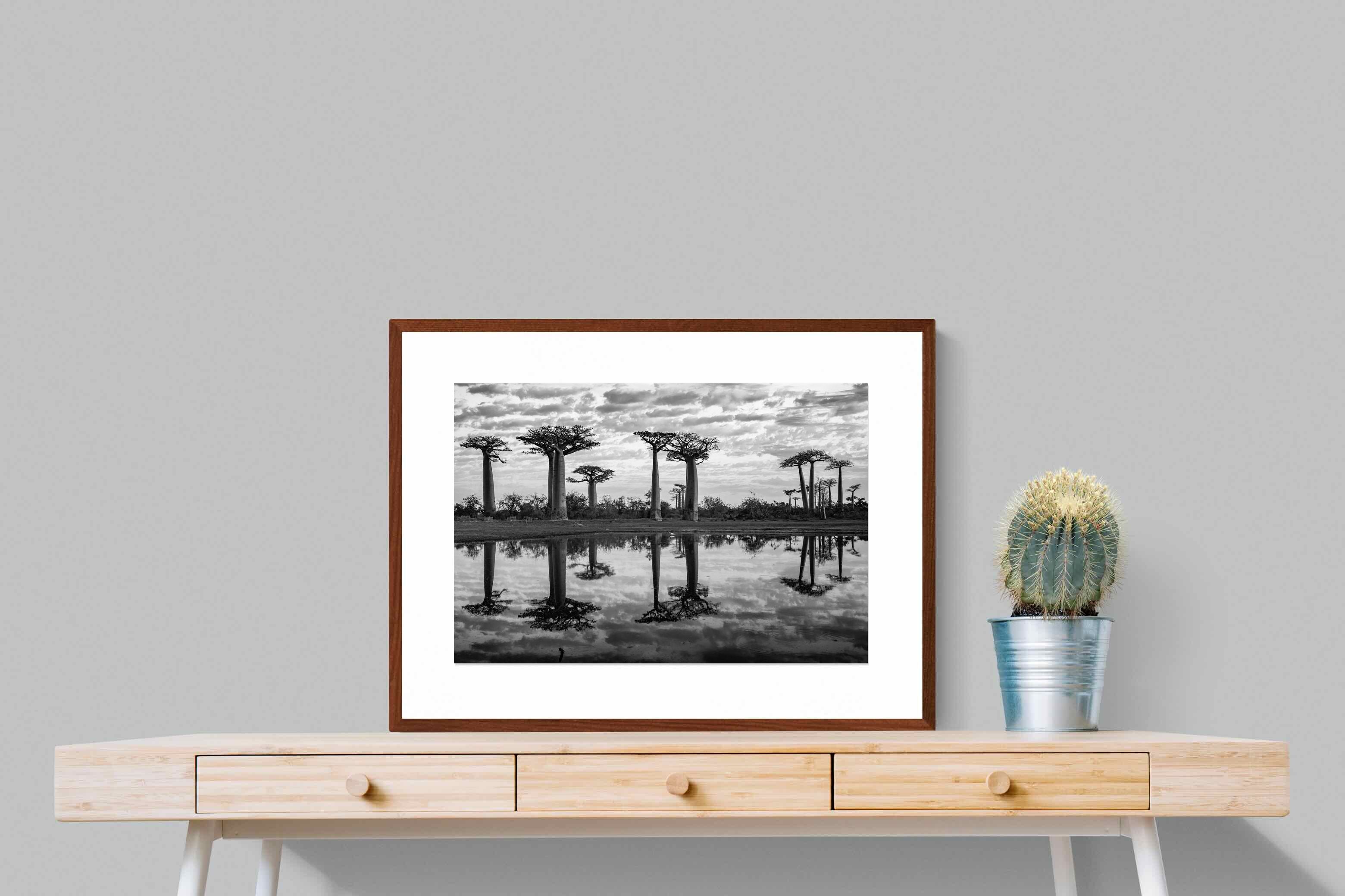 Pixalot ® Baobab Trees