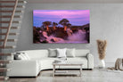 Pixalot ® Baobab Twilight