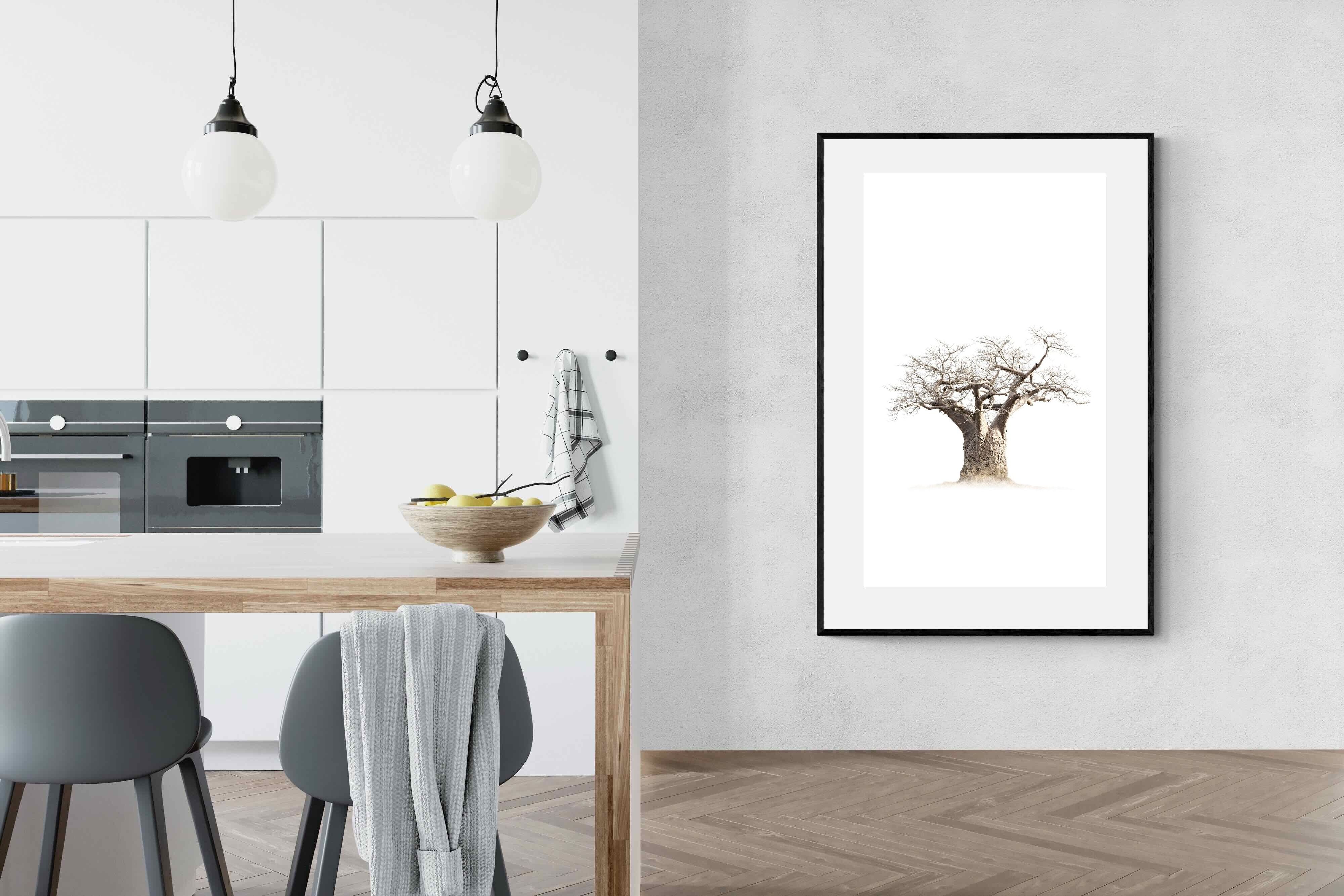 Pixalot ® Baobab Whiteout