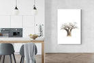 Pixalot ® Baobab Whiteout