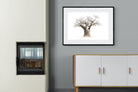 Pixalot ® Baobab Whiteout