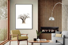 Pixalot ® Baobab Whiteout