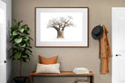 Pixalot ® Baobab Whiteout