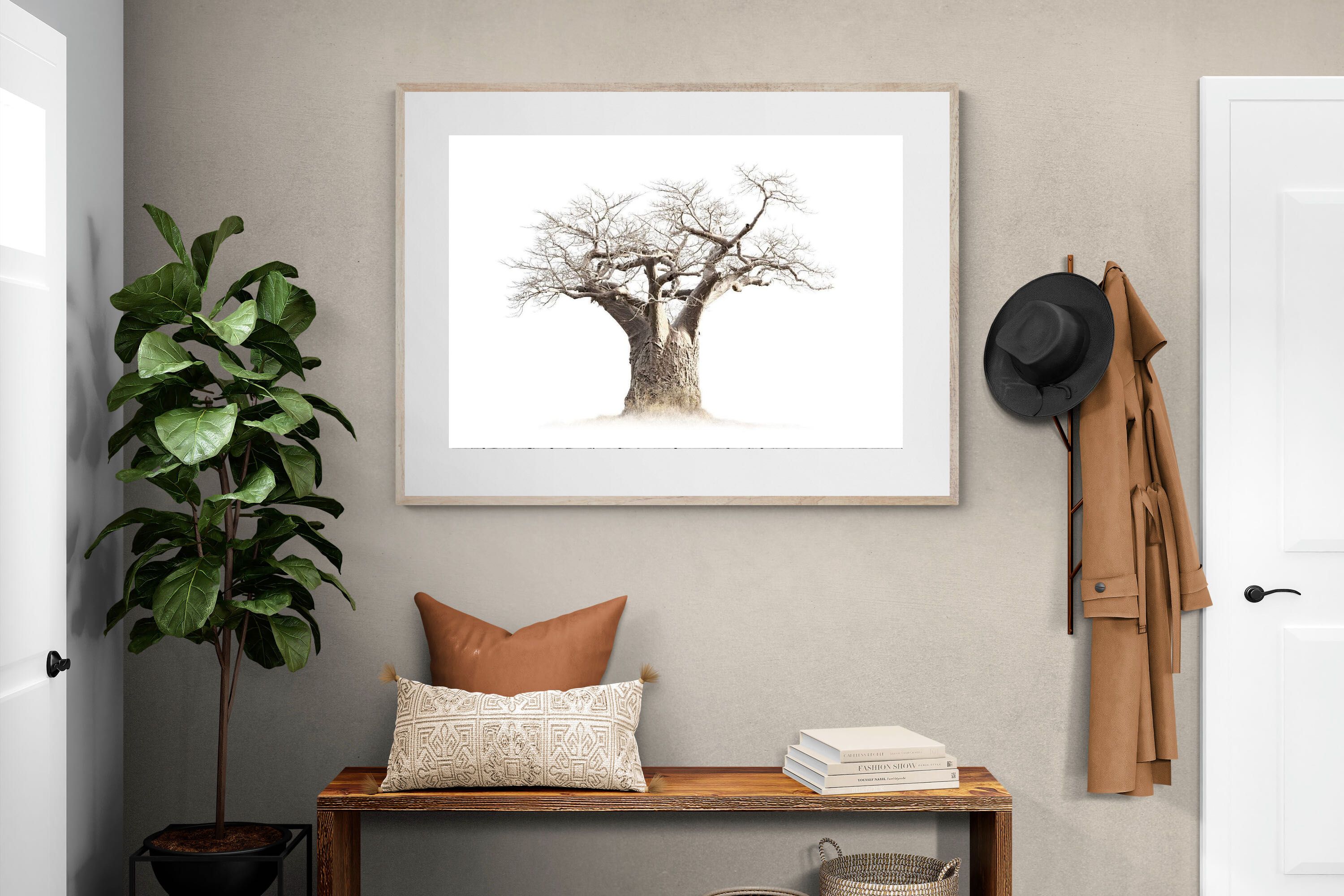 Pixalot ® Baobab Whiteout