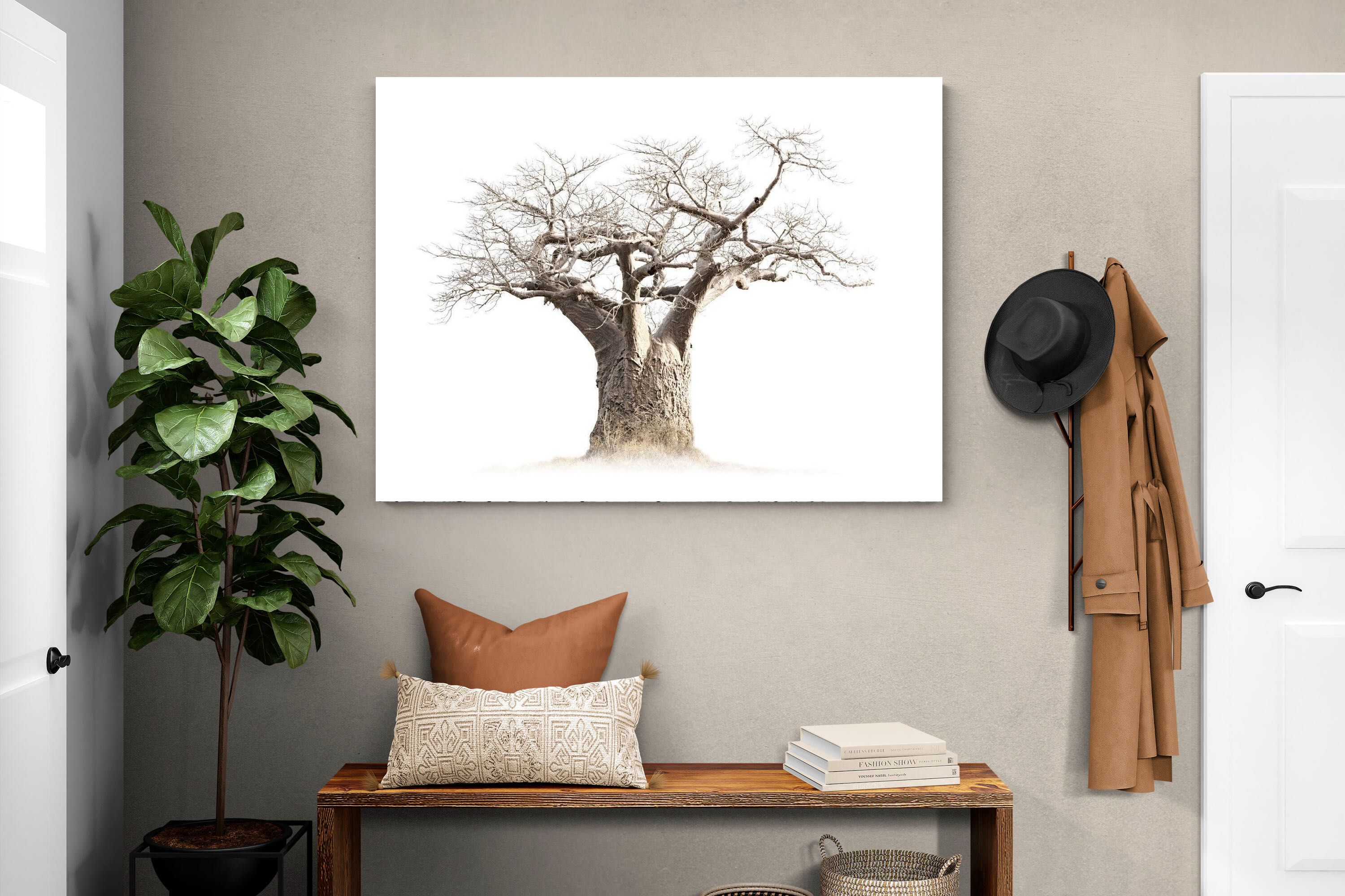 Pixalot ® Baobab Whiteout