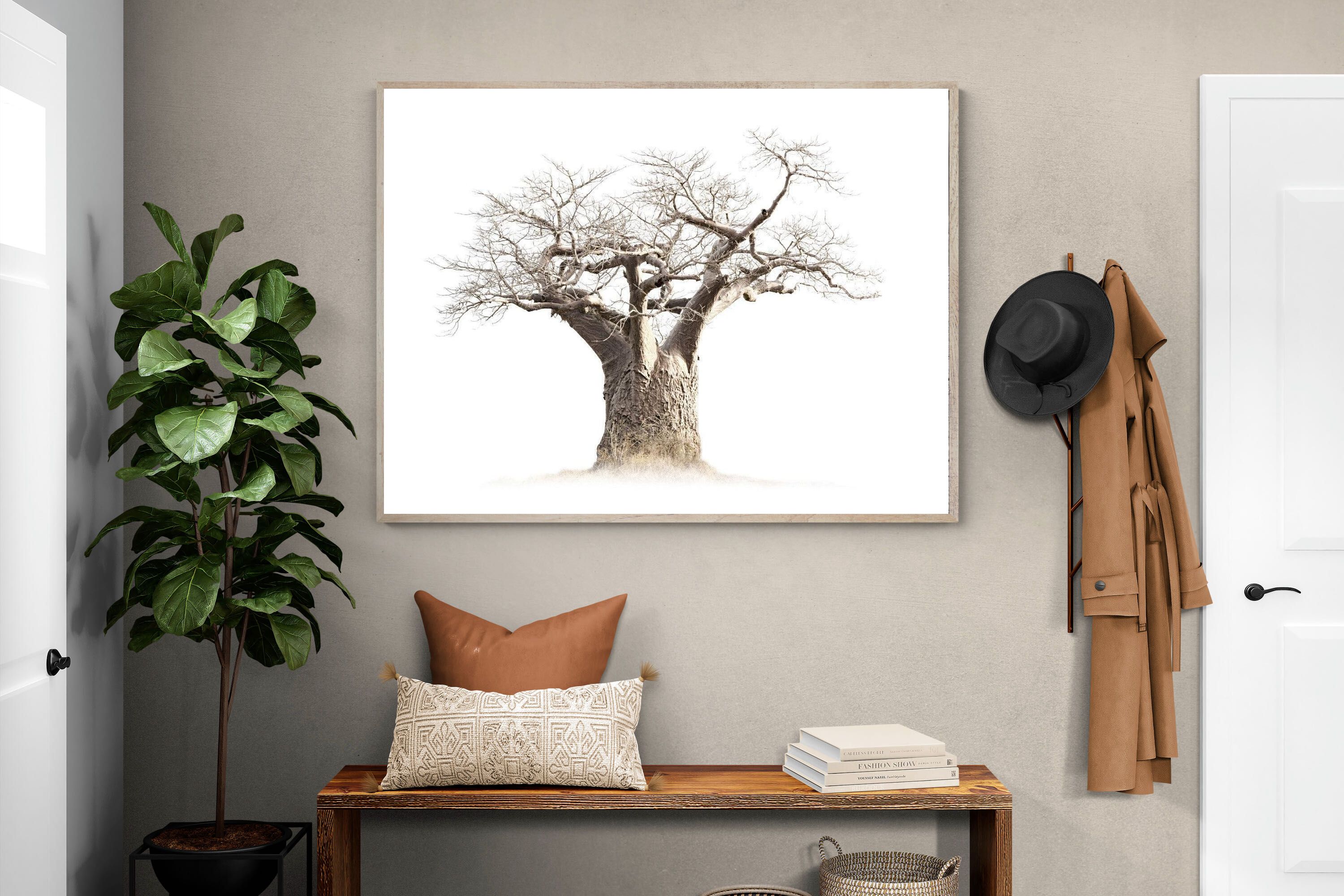 Pixalot ® Baobab Whiteout