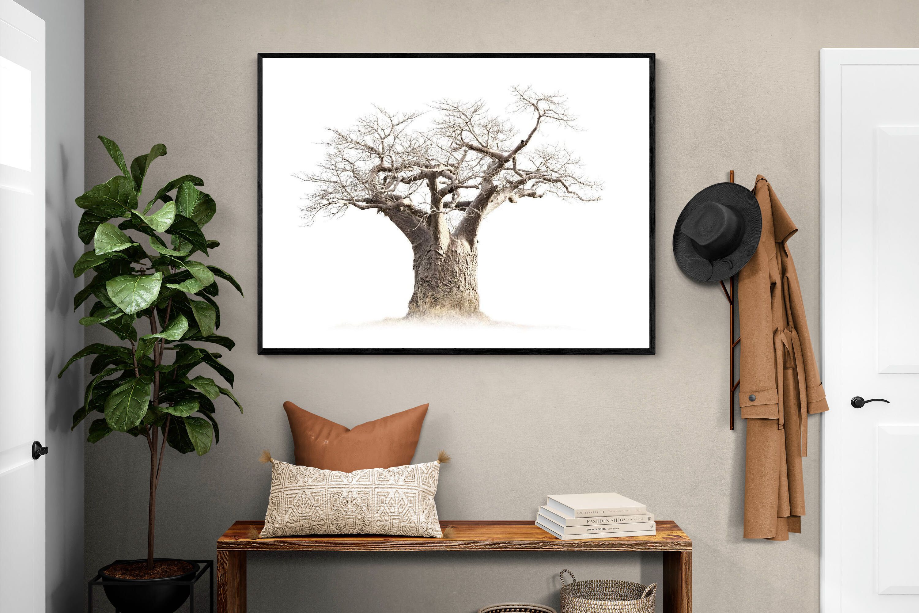Pixalot ® Baobab Whiteout