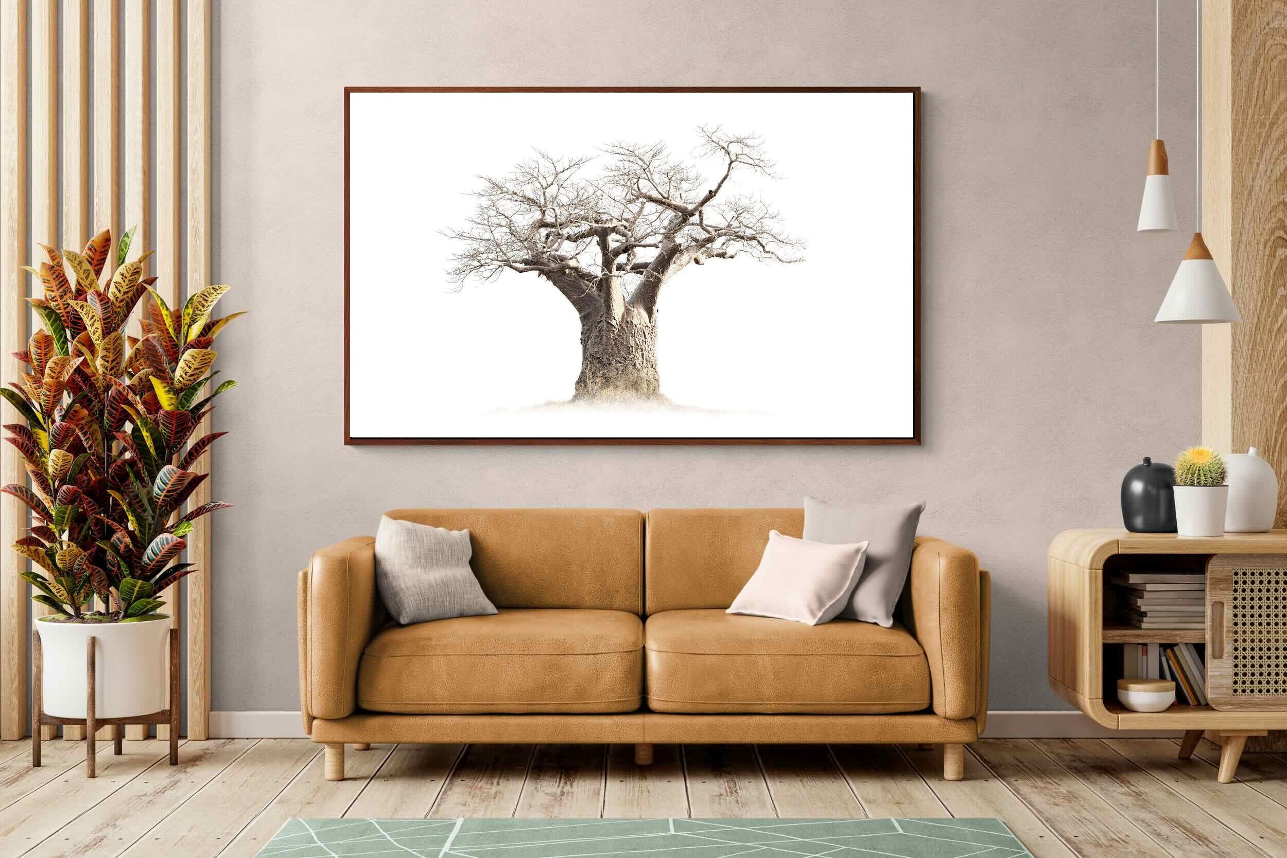 Pixalot ® Baobab Whiteout