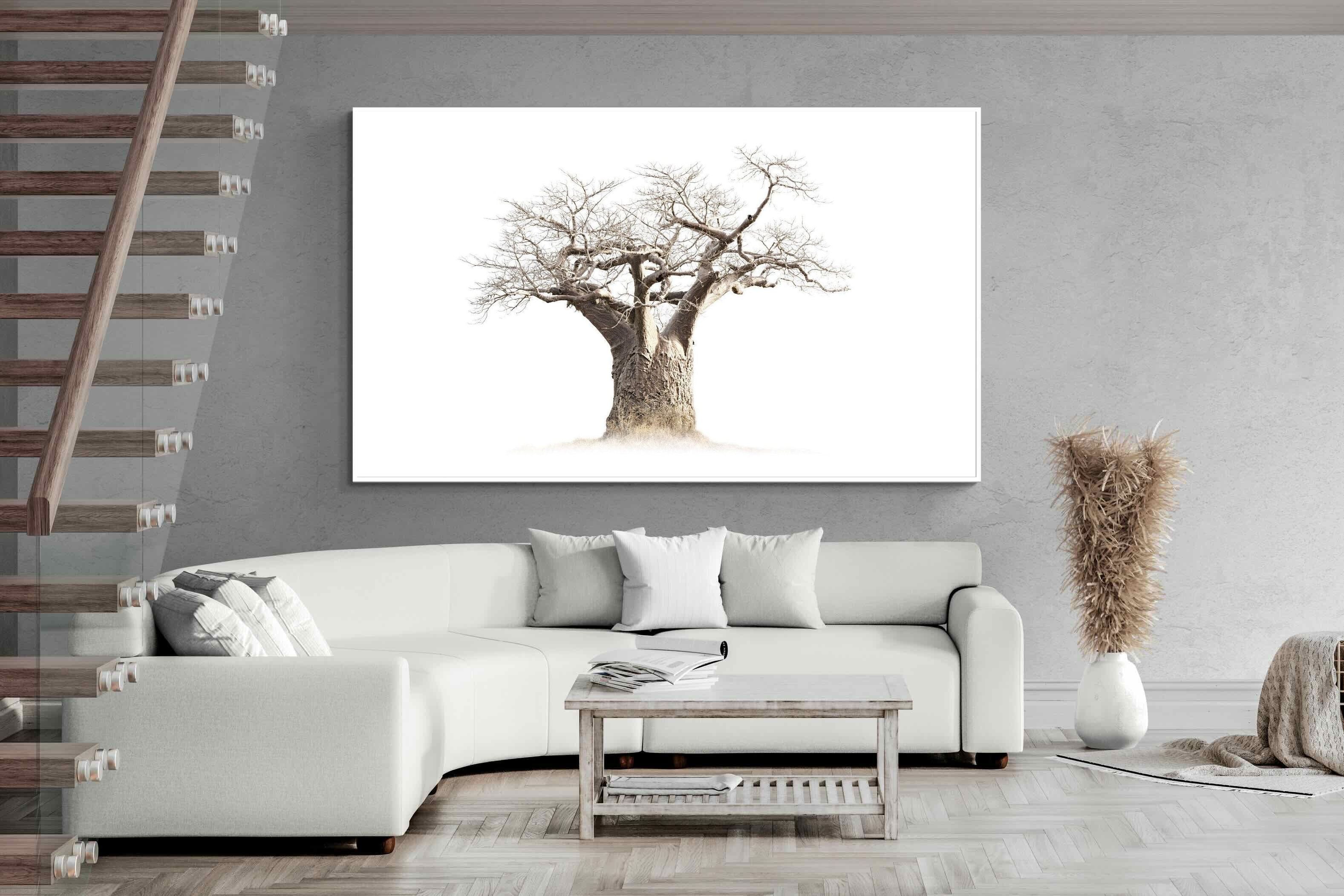 Pixalot ® Baobab Whiteout