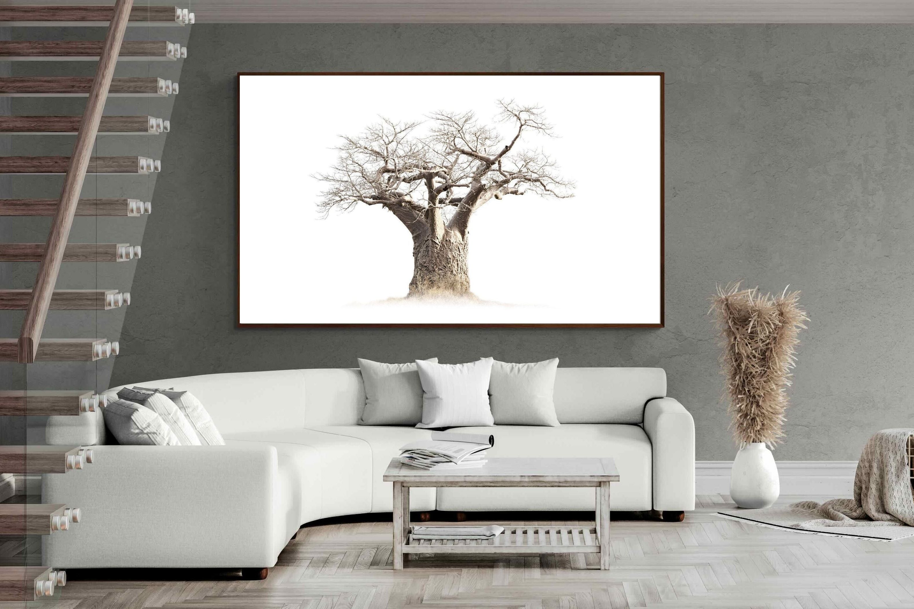 Pixalot ® Baobab Whiteout