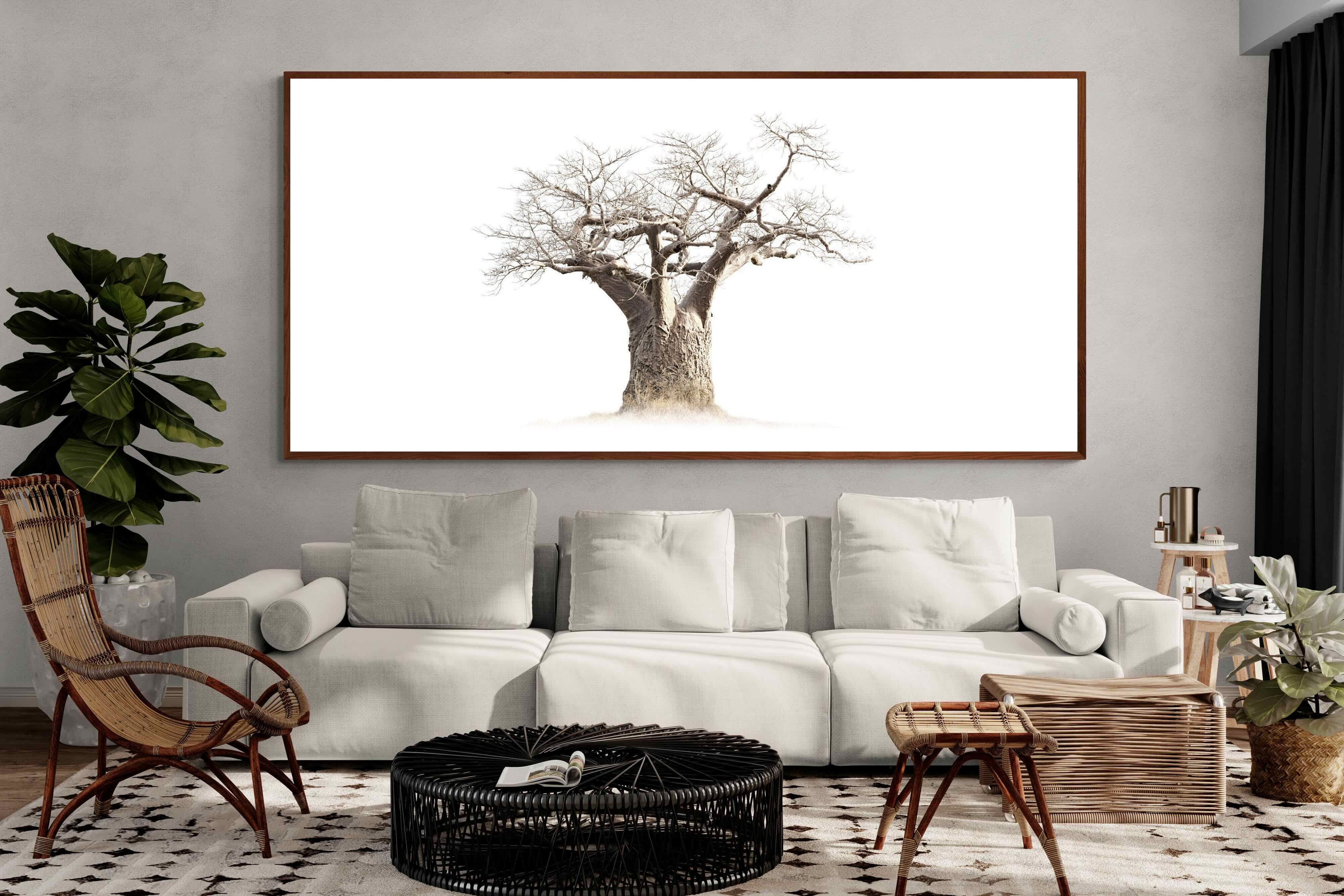 Pixalot ® Baobab Whiteout