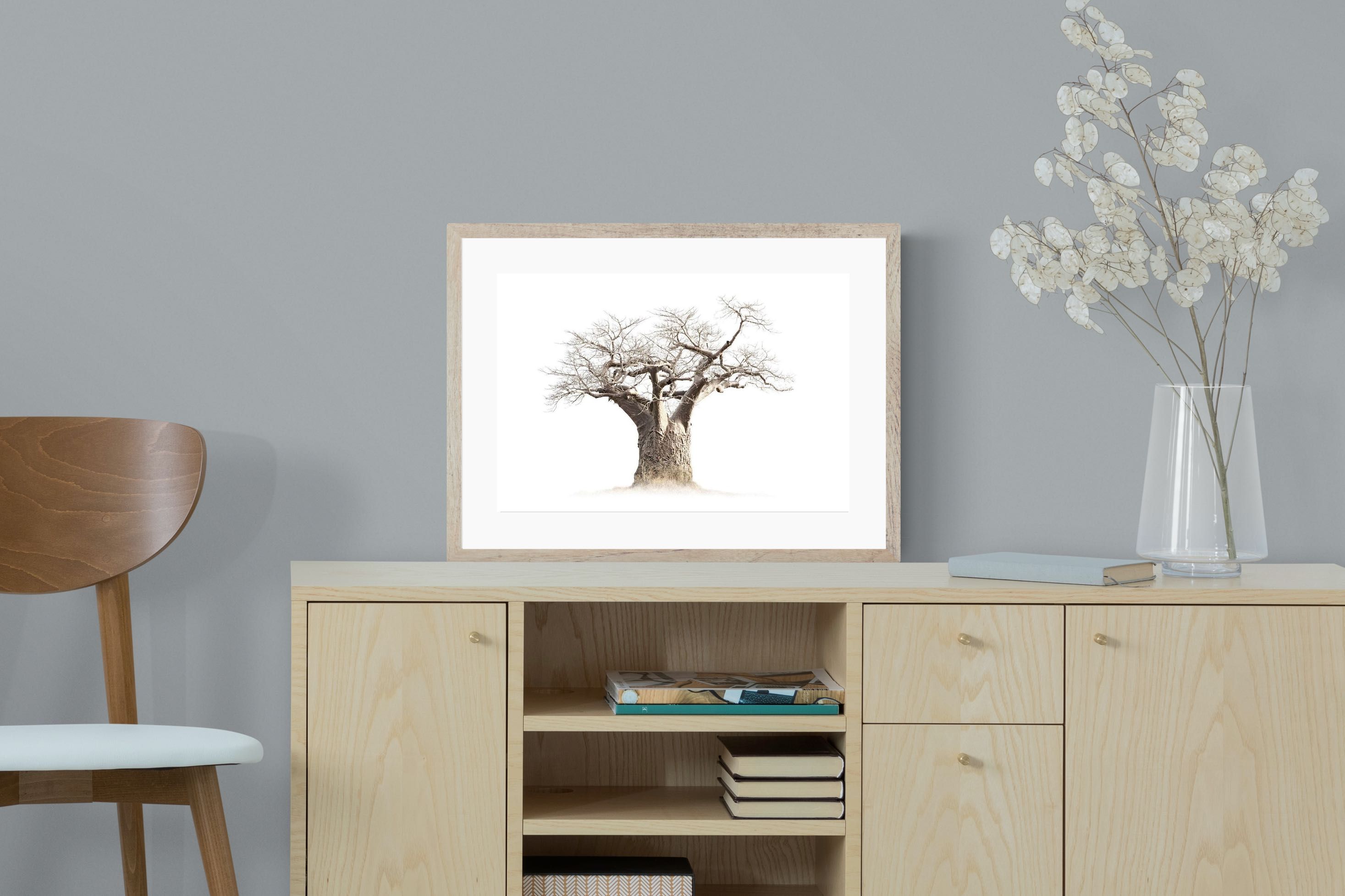 Pixalot ® Baobab Whiteout