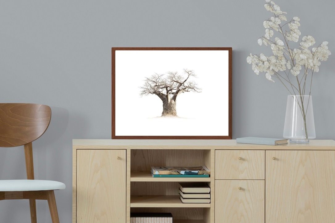 Pixalot ® Baobab Whiteout