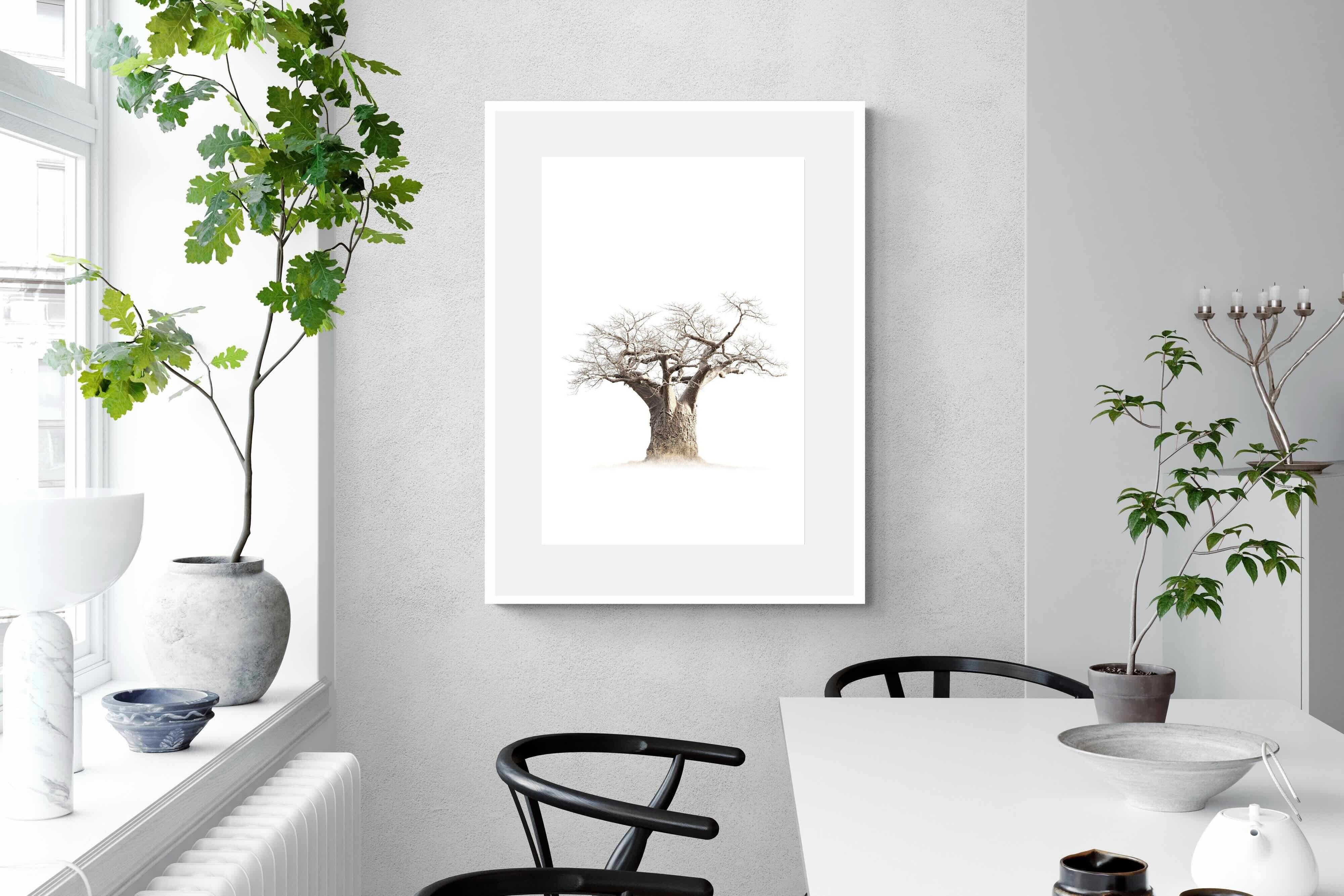 Pixalot ® Baobab Whiteout