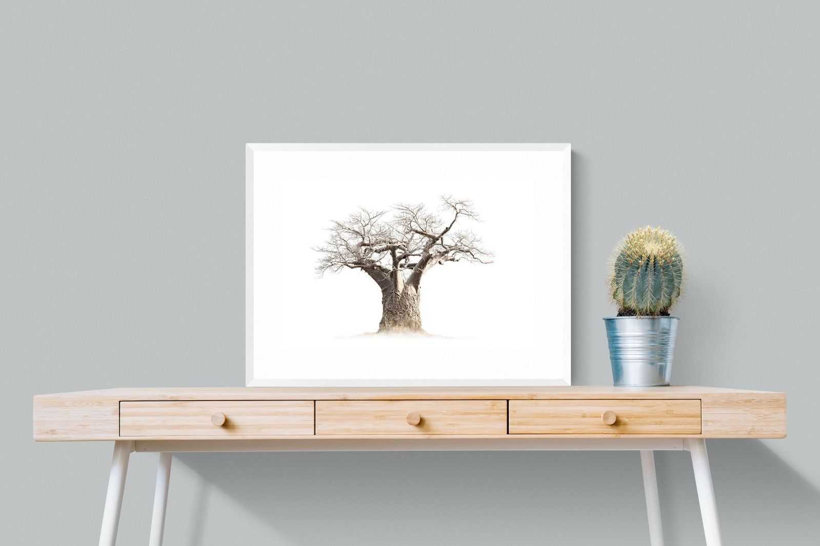 Pixalot ® Baobab Whiteout