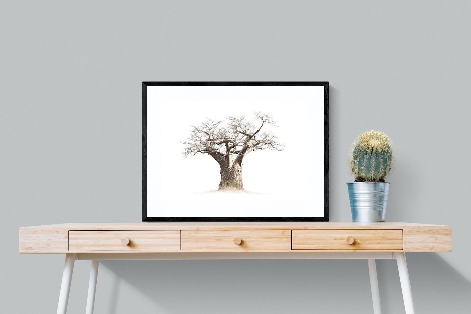 Pixalot ® Baobab Whiteout