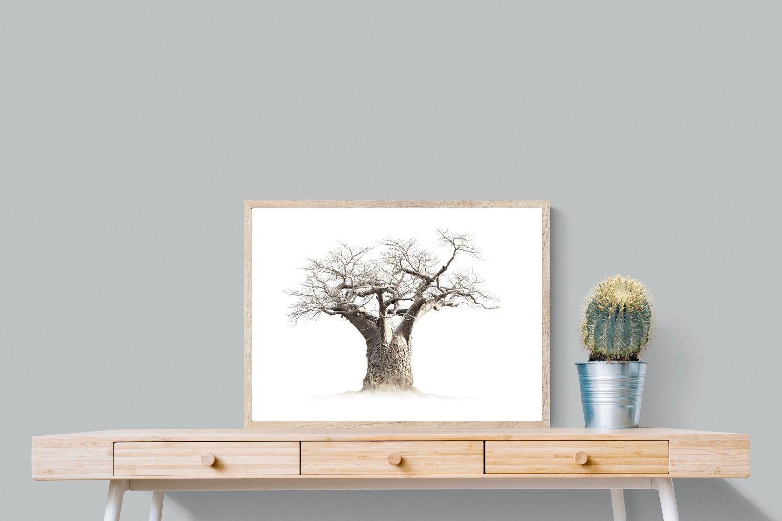 Pixalot Baobab Whiteout