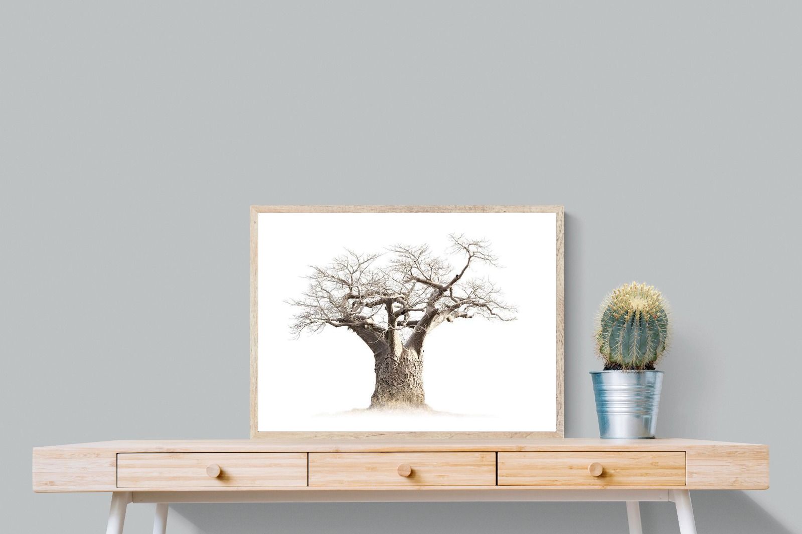 Pixalot ® Baobab Whiteout