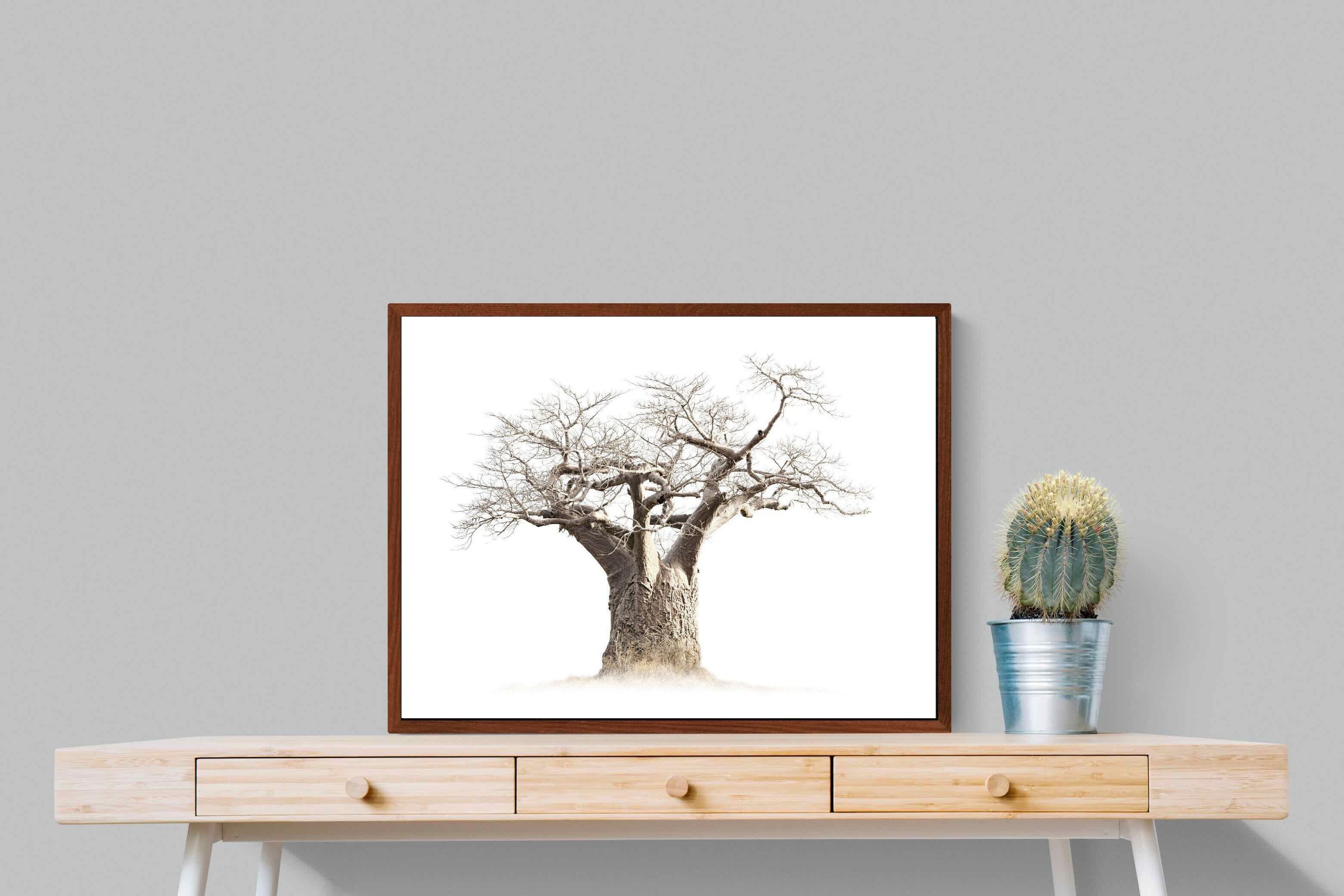 Pixalot ® Baobab Whiteout