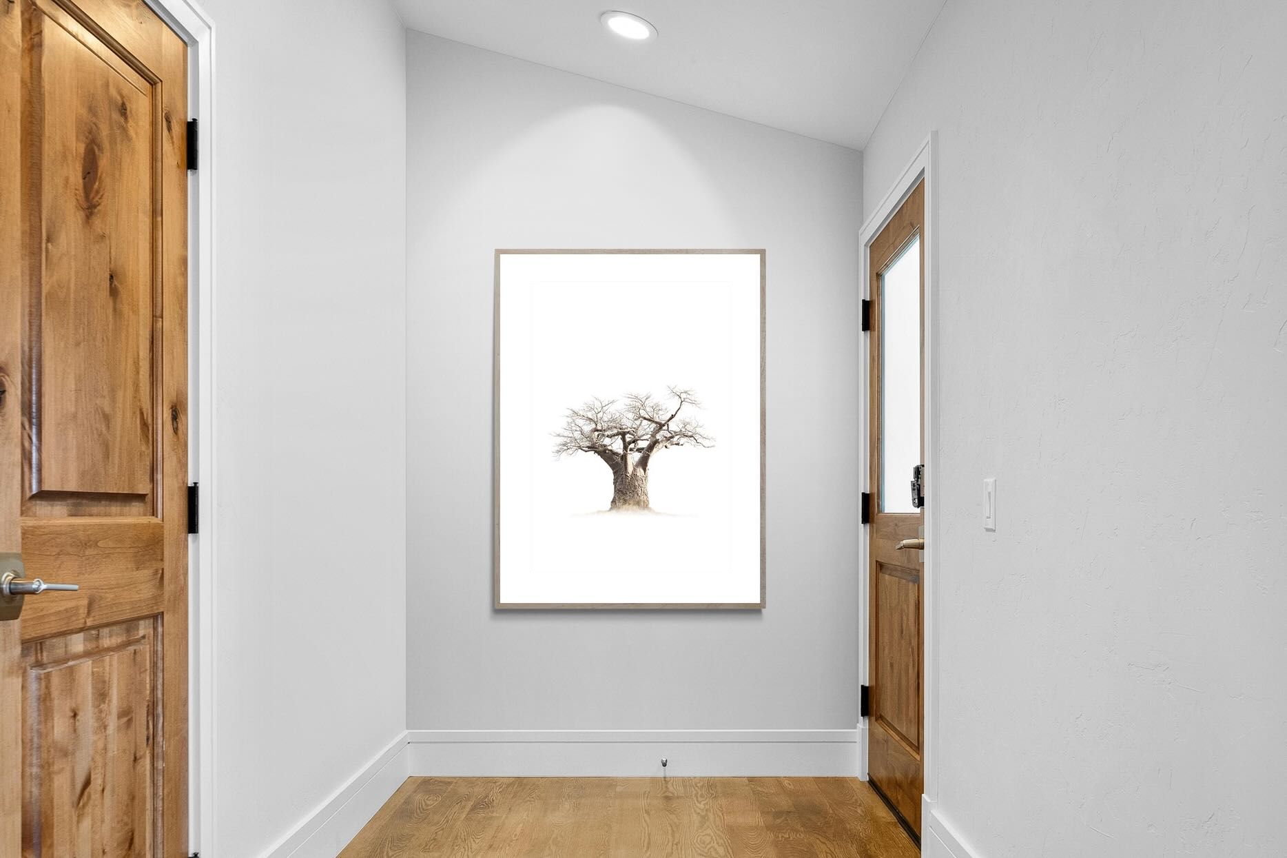 Pixalot ® Baobab Whiteout