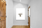 Pixalot ® Baobab Whiteout