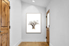 Pixalot ® Baobab Whiteout