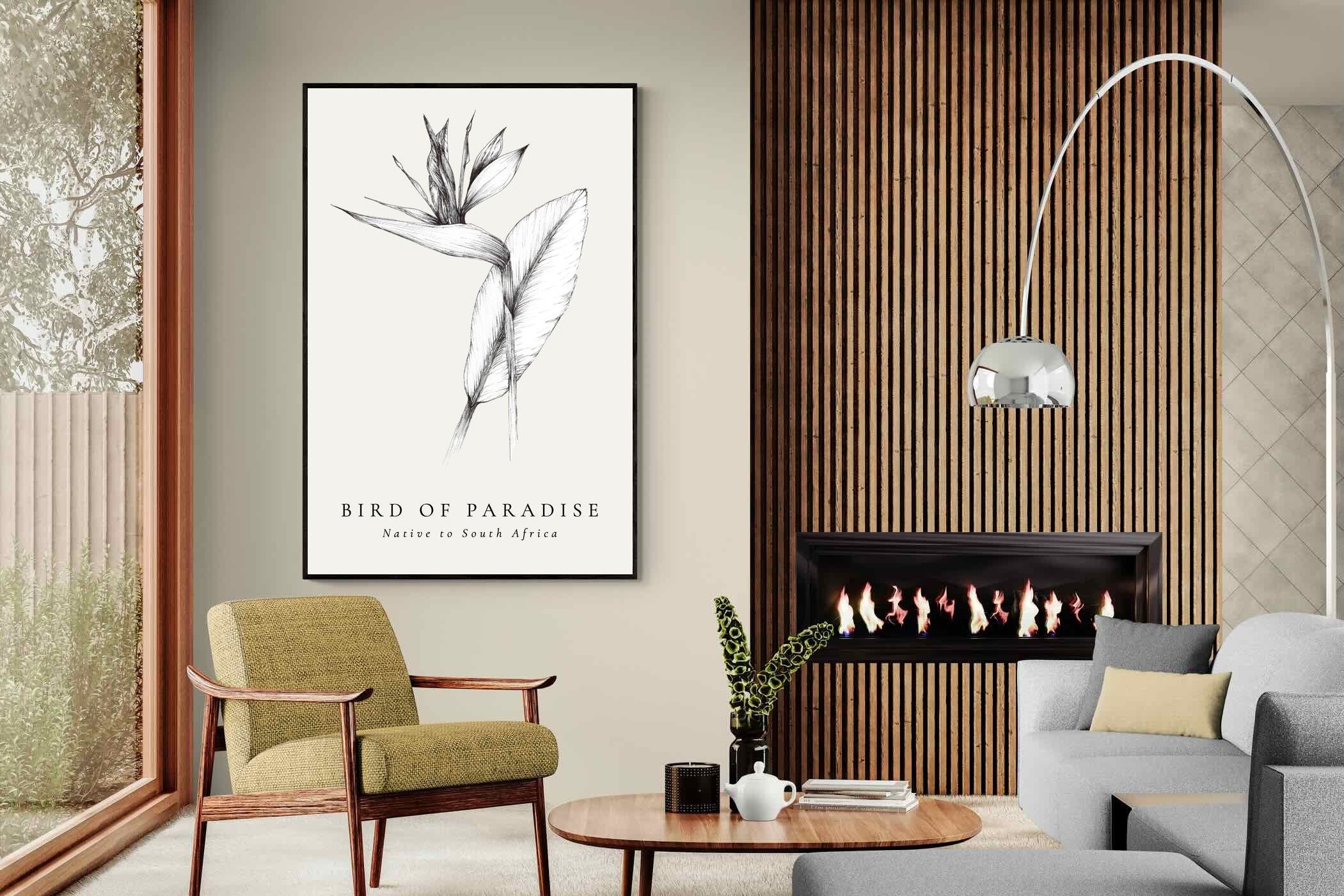 Pixalot ® Bird of Paradise Illustration