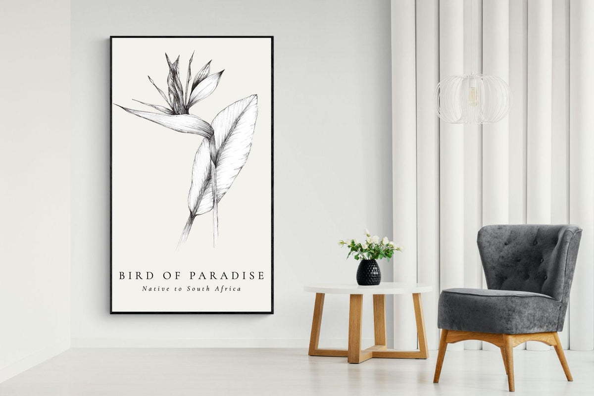 Pixalot ® Bird of Paradise Illustration
