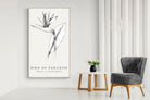 Pixalot ® Bird of Paradise Illustration