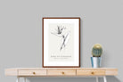 Pixalot ® Bird of Paradise Illustration