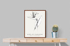 Pixalot ® Bird of Paradise Illustration