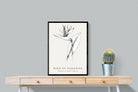 Pixalot ® Bird of Paradise Illustration