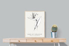 Pixalot ® Bird of Paradise Illustration