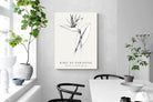 Pixalot ® Bird of Paradise Illustration