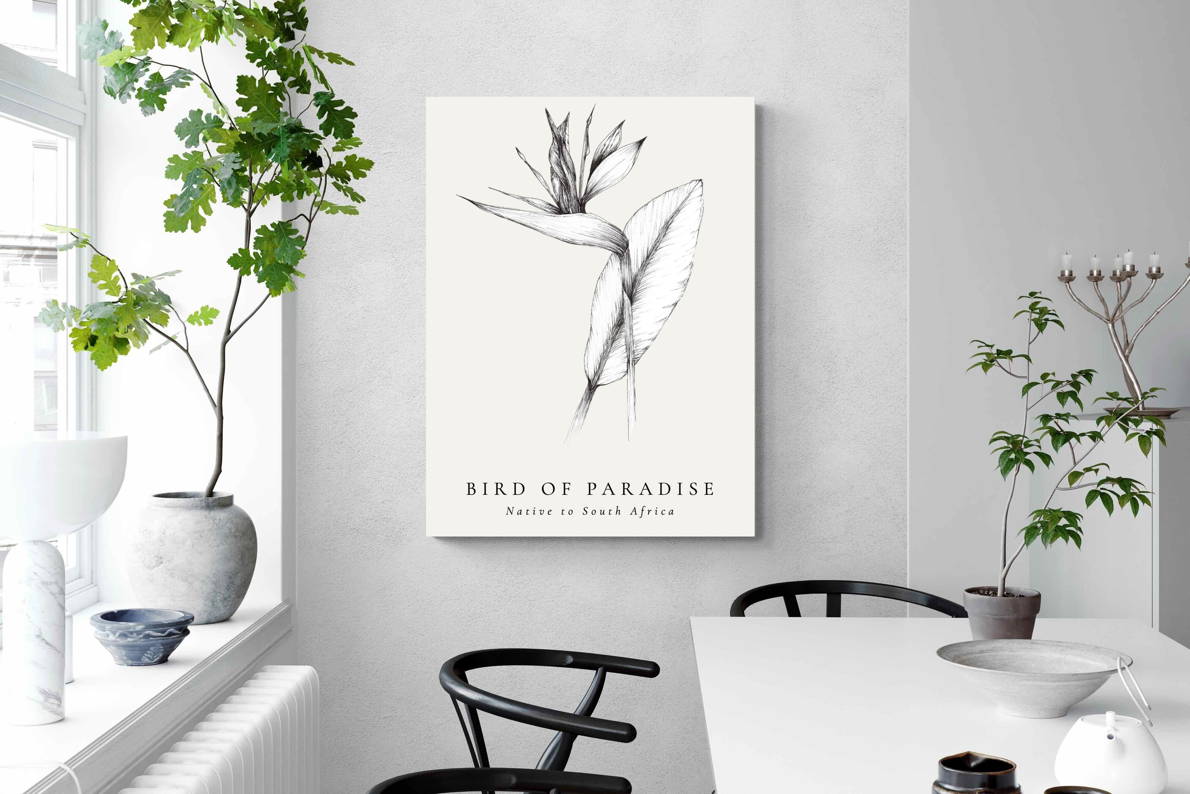 Pixalot ® Bird of Paradise Illustration