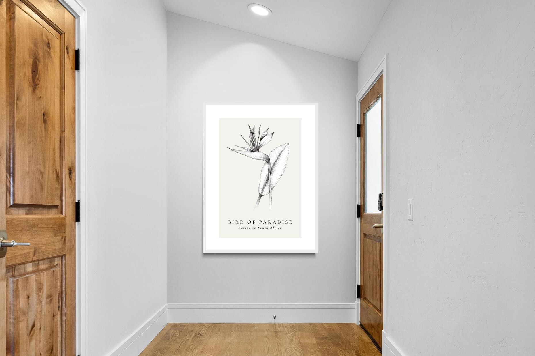 Pixalot ® Bird of Paradise Illustration