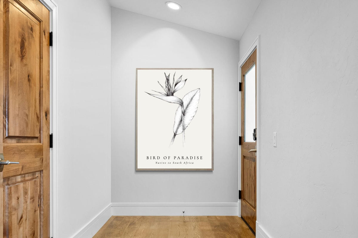 Pixalot ® Bird of Paradise Illustration