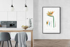 Pixalot ® Bird of Paradise Vintage Illustration