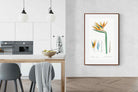 Pixalot ® Bird of Paradise Vintage Illustration